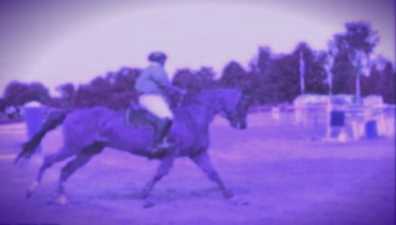 L’équitation : un sport complet